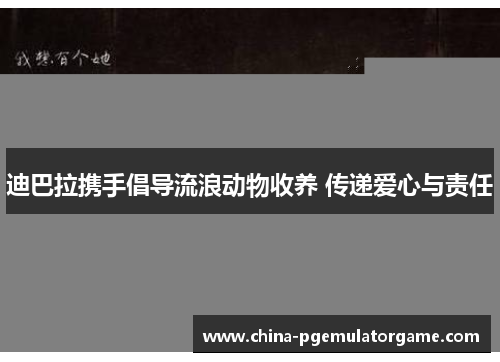 迪巴拉携手倡导流浪动物收养 传递爱心与责任