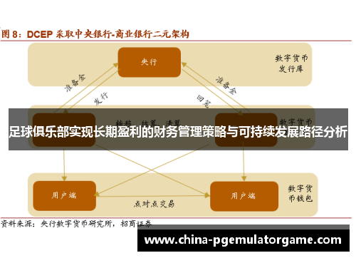 足球俱乐部实现长期盈利的财务管理策略与可持续发展路径分析