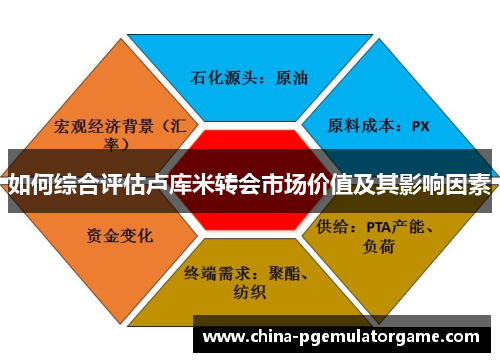 如何综合评估卢库米转会市场价值及其影响因素