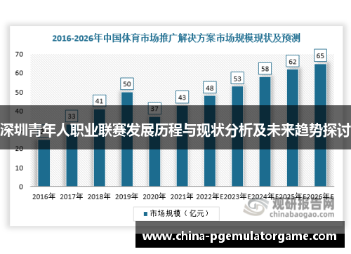 深圳青年人职业联赛发展历程与现状分析及未来趋势探讨