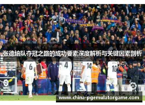 张德培队夺冠之路的成功要素深度解析与关键因素剖析