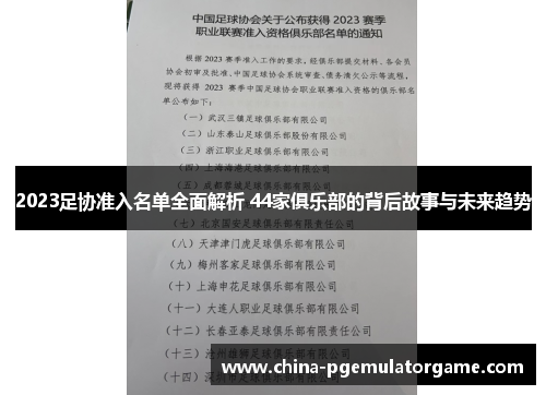 2023足协准入名单全面解析 44家俱乐部的背后故事与未来趋势