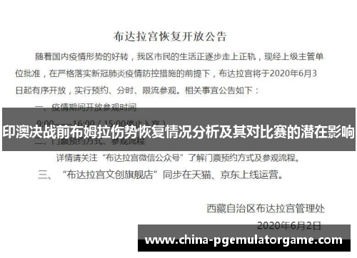 印澳决战前布姆拉伤势恢复情况分析及其对比赛的潜在影响