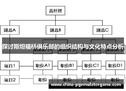 探讨斯坦福桥俱乐部的组织结构与文化特点分析