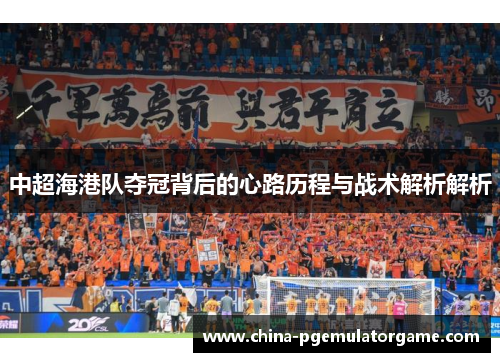 中超海港队夺冠背后的心路历程与战术解析解析