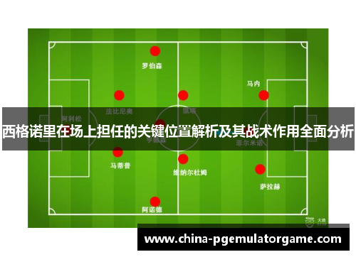 西格诺里在场上担任的关键位置解析及其战术作用全面分析