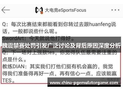 魏震禁赛处罚引发广泛讨论及背后原因深度分析