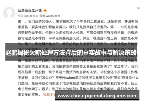 赵鹏揭秘欠薪处理方法背后的真实故事与解决策略 赵鹏揭秘欠薪处理方法背后的真实故事与解决策略