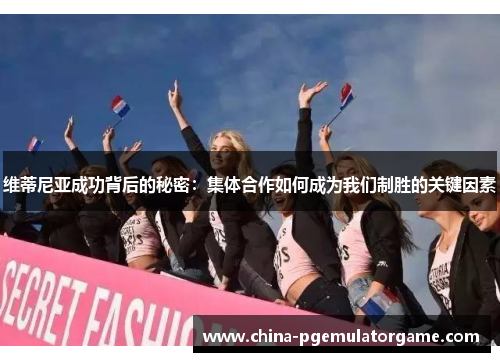 维蒂尼亚成功背后的秘密：集体合作如何成为我们制胜的关键因素