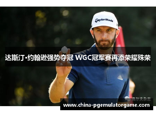 达斯汀·约翰逊强势夺冠 WGC冠军赛再添荣耀殊荣