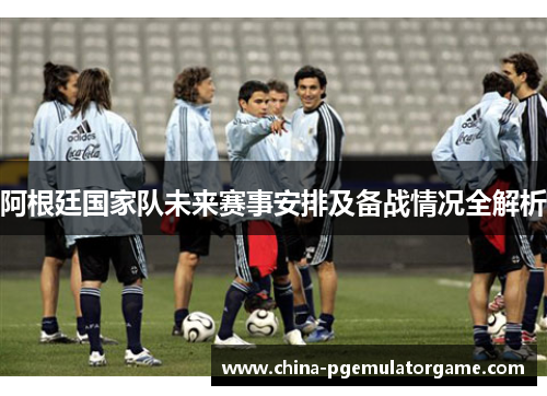阿根廷国家队未来赛事安排及备战情况全解析