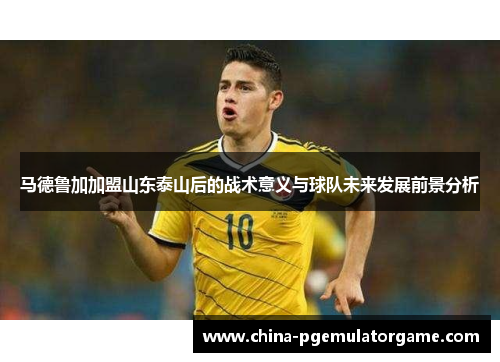 马德鲁加加盟山东泰山后的战术意义与球队未来发展前景分析