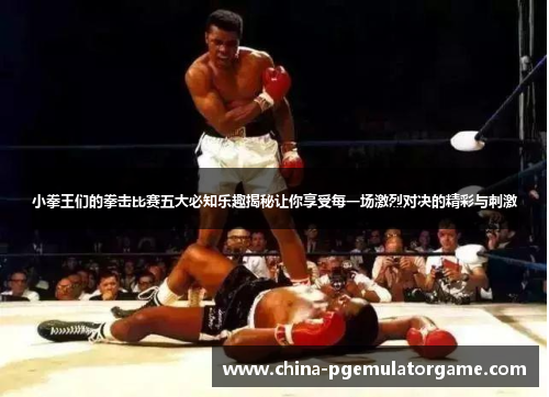 小拳王们的拳击比赛五大必知乐趣揭秘让你享受每一场激烈对决的精彩与刺激