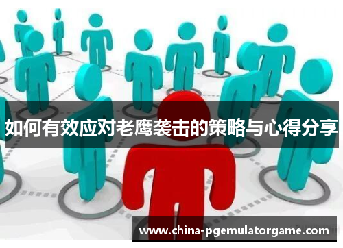 如何有效应对老鹰袭击的策略与心得分享