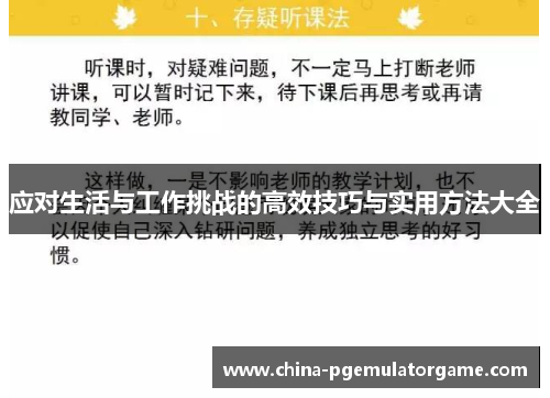 应对生活与工作挑战的高效技巧与实用方法大全