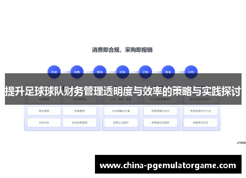 提升足球球队财务管理透明度与效率的策略与实践探讨