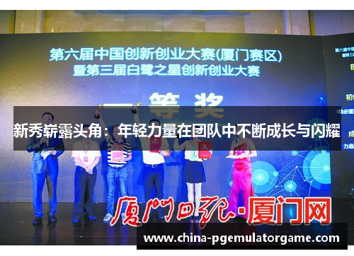 新秀崭露头角：年轻力量在团队中不断成长与闪耀