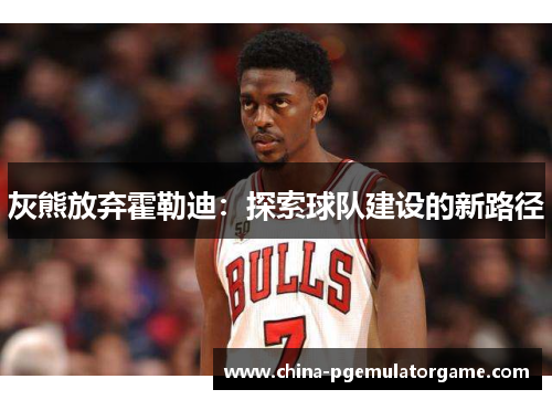 灰熊放弃霍勒迪：探索球队建设的新路径