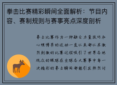 拳击比赛精彩瞬间全面解析：节目内容、赛制规则与赛事亮点深度剖析